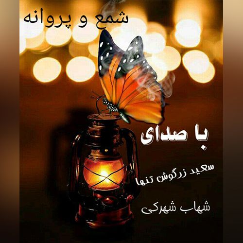 سعید زرگوش تنها و شهاب شهرکی شمع و پروانه